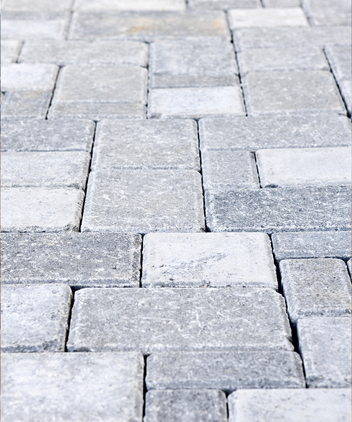 A cat is sitting on a brick walkway