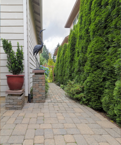 A brick walkway with a bird statue on top of it